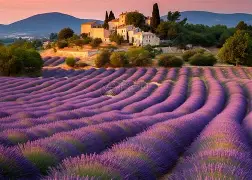 法国杯窗口期走向成谜,浙江队篮板制胜,更衣室稳定,更衣室氛围转暖 法国杯窗口期走向成谜,浙江队篮板制胜,更衣室稳定,更衣室氛围转暖