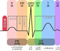 开云APP-关于斨QD飦P窦#eTh4kQL?(~?I兕韲b膴鎂?颥曀#?鯵?